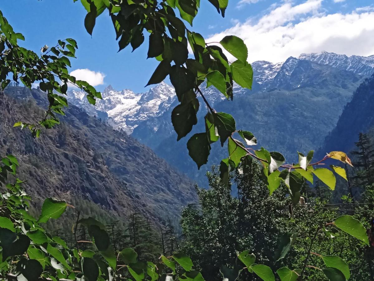 Отель Kasol View Экстерьер фото